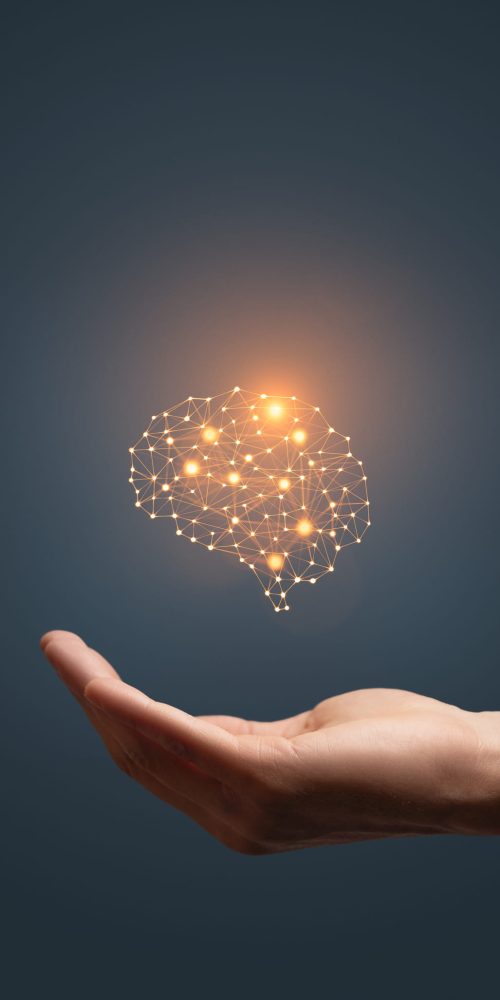 Német cégalapítás, árak, költségek, nemetcegalapitas.hu